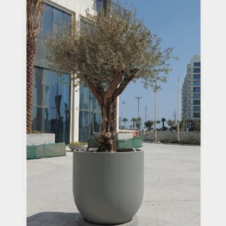 GRP (Fiberglass) Planter Pots